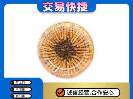 北海市铁山港礼品回收虫草礼盒.jpg